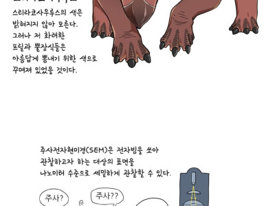 실제 공룡의 색깔.manhwa