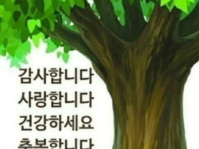 천 번은 해도 부족한 말