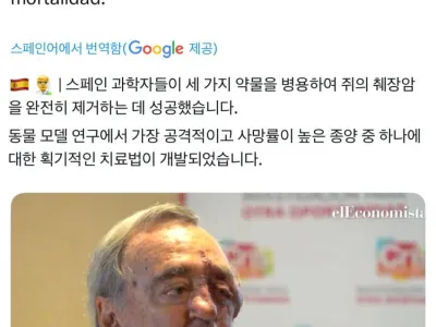 스페인 연구진, 세계 최초로 쥐에서 췌장암 완전 제거 성공