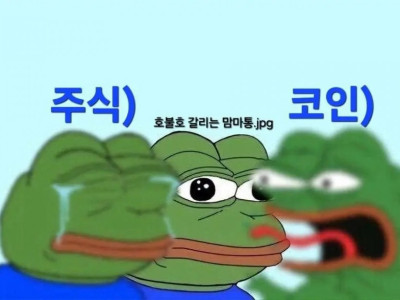 요즘 커뮤니티들 분위기 근황