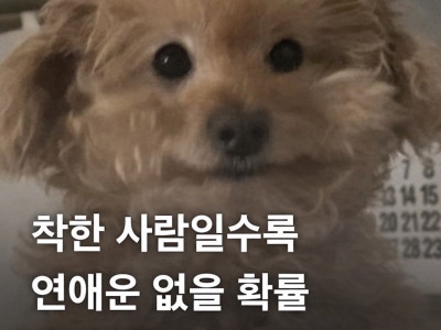 오늘의 착한 사람들