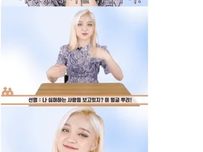 네감나먹좌 근황