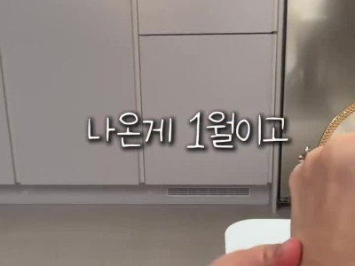 주먹으로 달력 배우던 잼민이가 당황한 이유