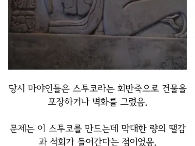 부동산 건축붐 때문에 멸망한 고대도시