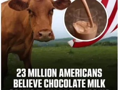 미국과 관련된 의외의 사실