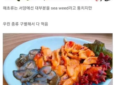 뭐든지 잘 먹는 한국인들