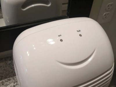 주인님! 속지마세요 그놈은 제가 아니에요!