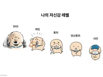 나의 자신감 레벨