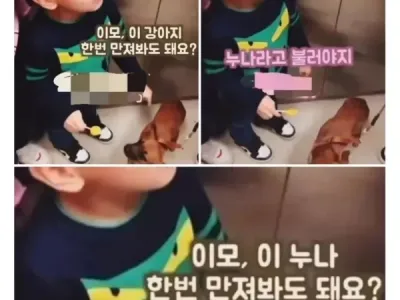 이모, 이 누나 만져봐도 되요?