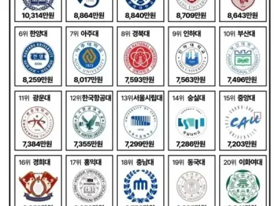 대학교 졸업생 연봉 순위