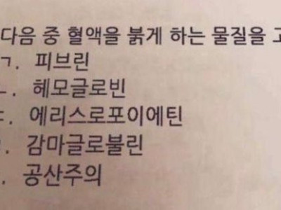 이거 정답이 뭔가요?