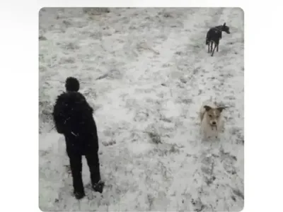 처음에는 대부분 속는 착시 사진.jpg