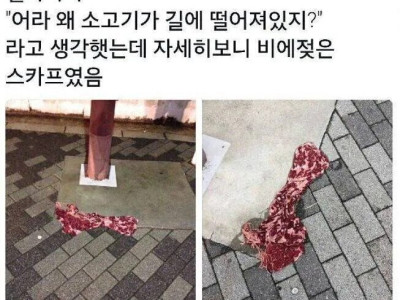 누군가 바닥에 버리고 간 소고기