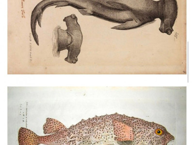 인류 지성의 발전을 3년이나 지연시킨 책