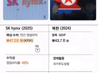 하닉의 지난해 실적이 대단한 이유