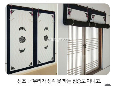 창호지문으로 겨울을 버틸 수 있었던 이유