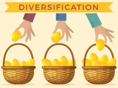 사람들이 분산 투자에 대해 오해하는 것