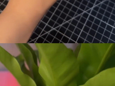 3D프린팅으로 만든 기구(?)