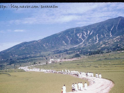 예전부터 꾸준히 선호해온 하얀색