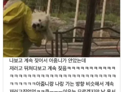 우리 동네 한 성깔 하는 말티즈가 있는데