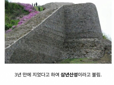 대한민국에 존재하는 149승 1패 요새