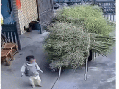 잉차. 이게 재가 옮겨볼ㄲ.. gif