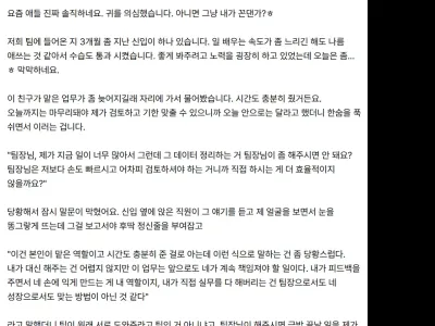 팀장님이 손이 빠르시니까 직접 하세요.jpg