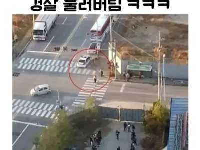 일진 고딩들 서열놀이 신고 후기