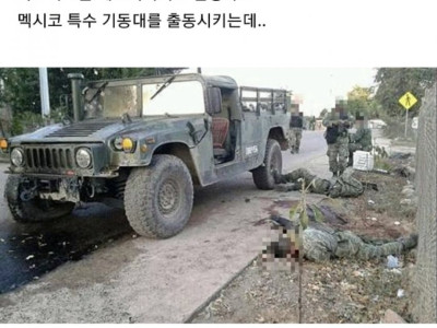 아는사람이 드물다는 멕시코 카르텔의 역사