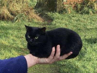 혼자 모험하는건 위험하단다