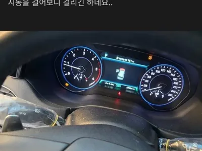 고작 6만키로 타고 고장나는 현대 팰리세이드 수준