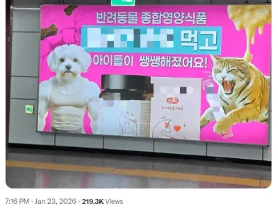 ???: 늙었다는 것은 살아 남았다는 것, 살아 남았다는 것은