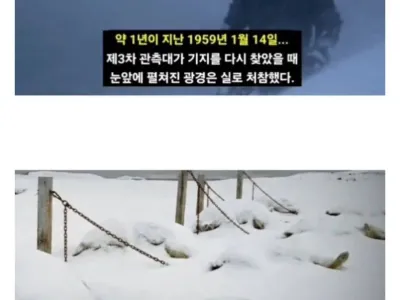 남극에 15마리 개를 버리고 간 일본