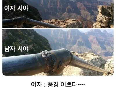 여행가서 남녀 시야 차이.jpg