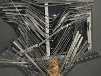 대참사 일으키고 뻔뻔하기 짝이 없음