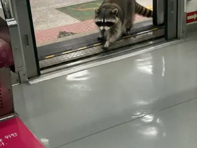 실시간 서울 지하철 근황 ㄷㄷ