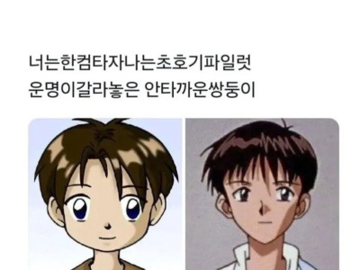 세계관으로 인해 만나지 못한 쌍둥이들.jpg