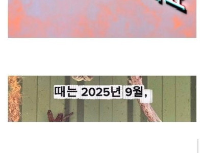 호주에서 공짜사진 찍은 한국인