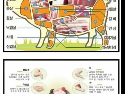 뭐든지 잘먹는 한국인들