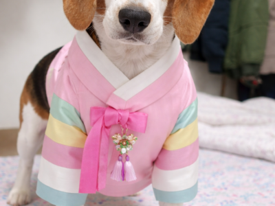 명절에도 뭐다?