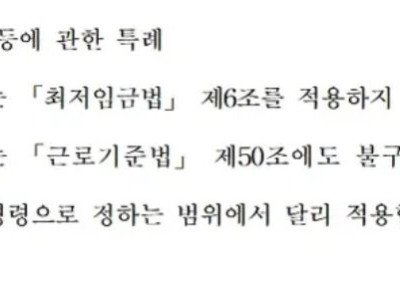 어매이징한 대구 근황