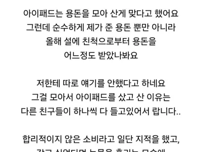 딸이 저 몰래 아이패드를 샀네요
