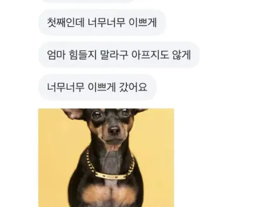 당근에서 무료로 댕댕이 그림 그려주는 사람