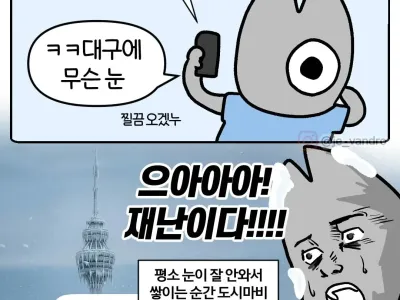 난리난 폭설 대구 근황