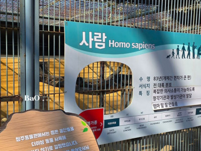 청주 동물원에서 볼 수 있는 동물