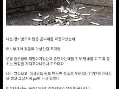 담배꽁초 무단투기 대책