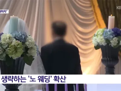 점점 늘어난다는 노 웨딩.jpg