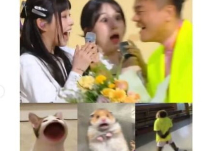 찰떡이네 싱크로율