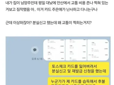 주운 카드 쓰고 다닌 아줌마 참교육한 썰