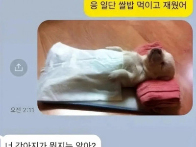 강아지를 주워와서 정성껏 돌 본 사람